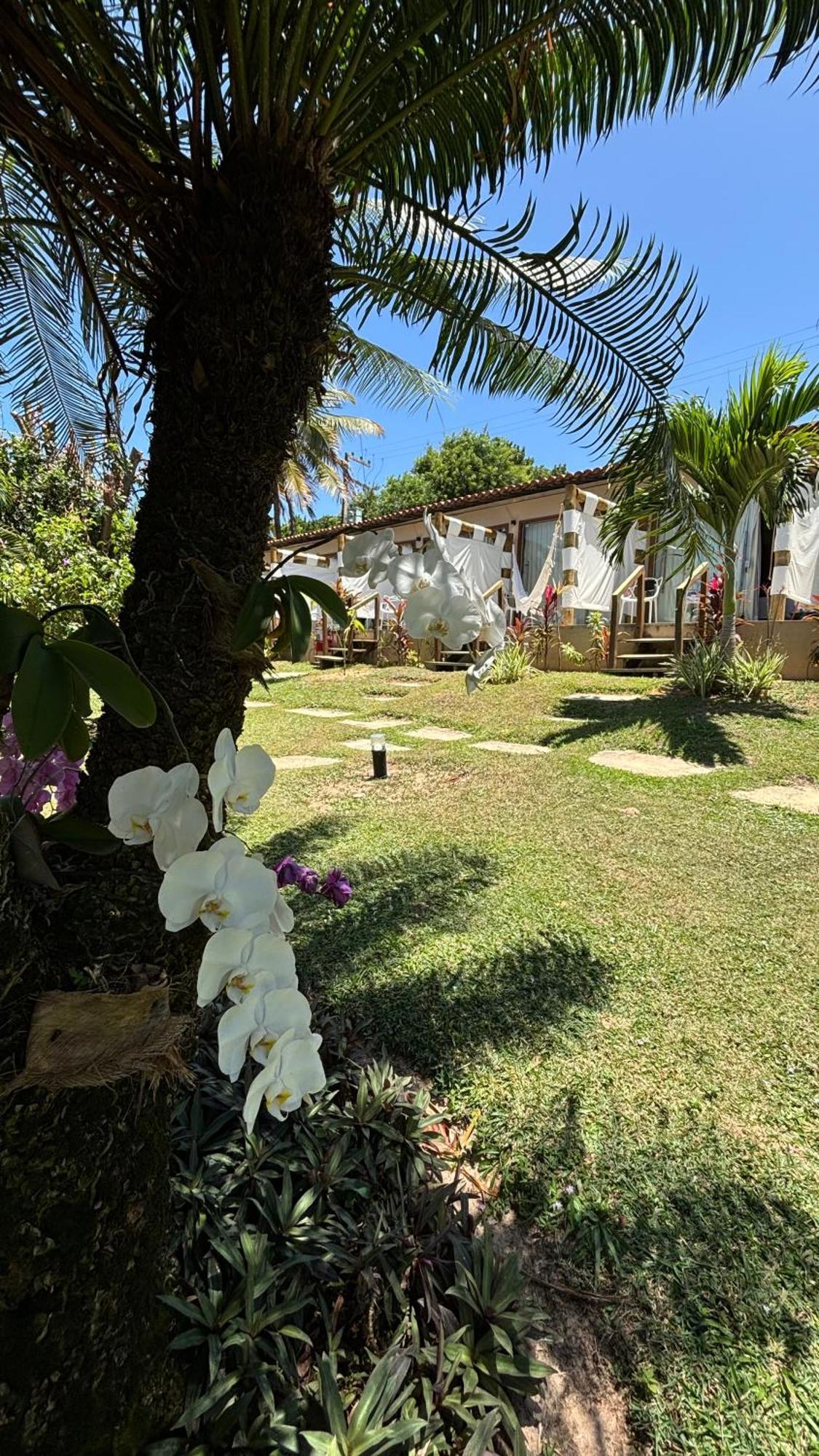 Hotel Da Pipa Praia de Pipa ภายนอก รูปภาพ
