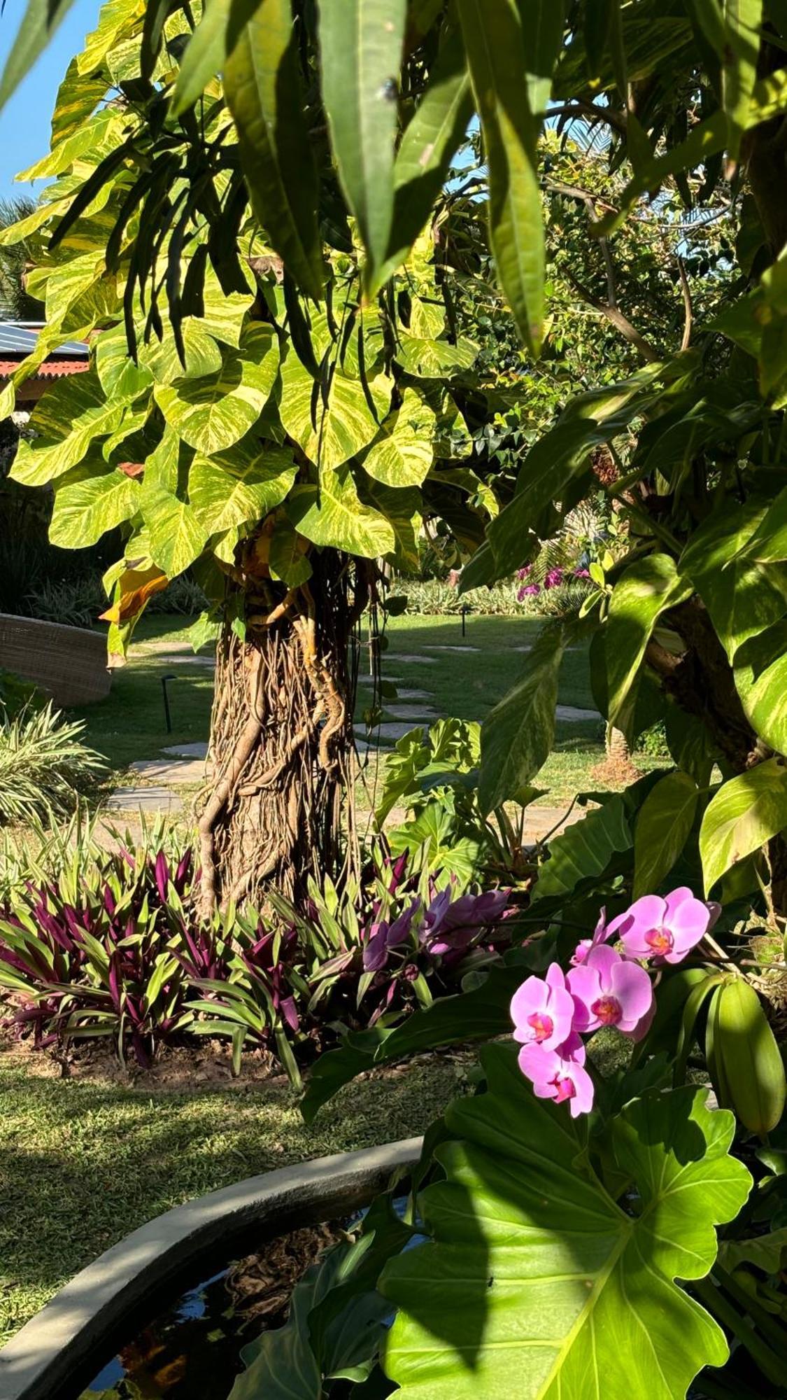 Hotel Da Pipa Praia de Pipa ภายนอก รูปภาพ