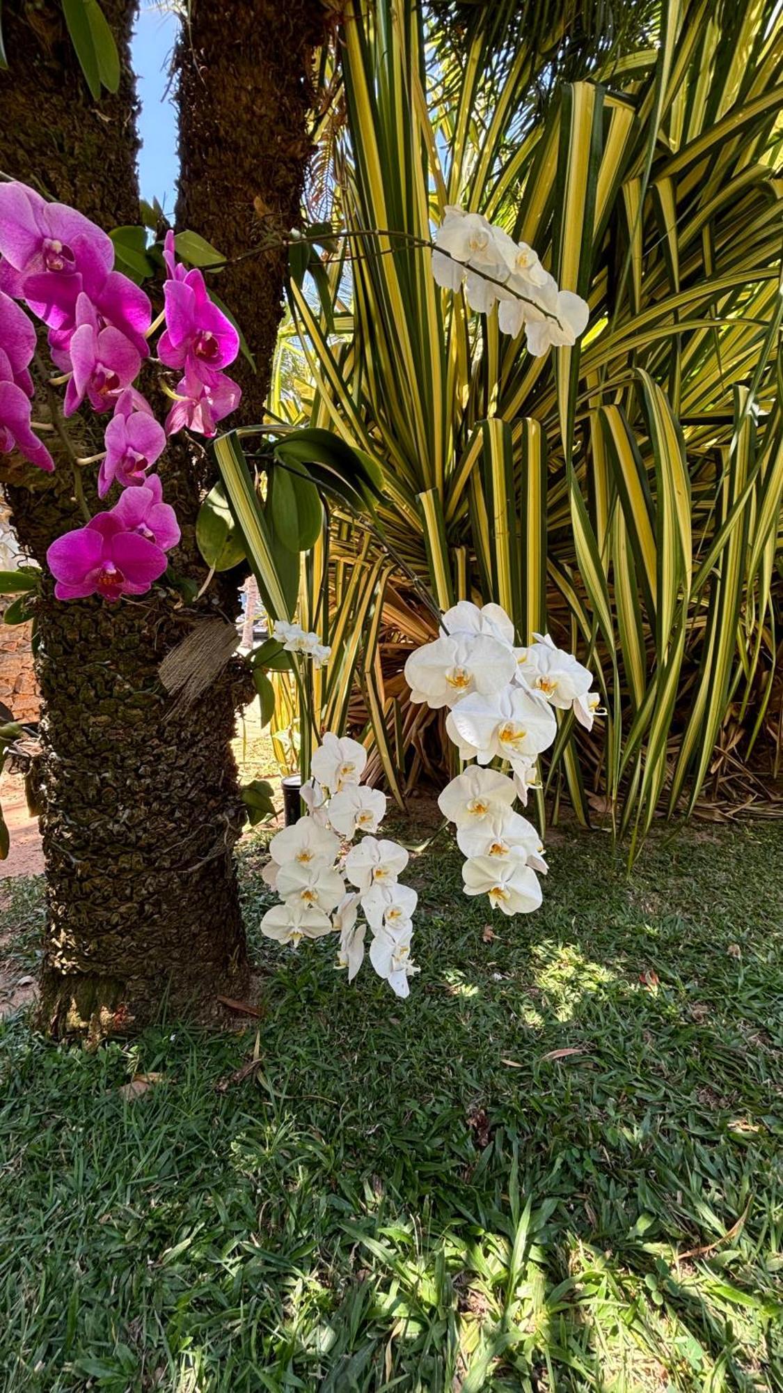 Hotel Da Pipa Praia de Pipa ภายนอก รูปภาพ