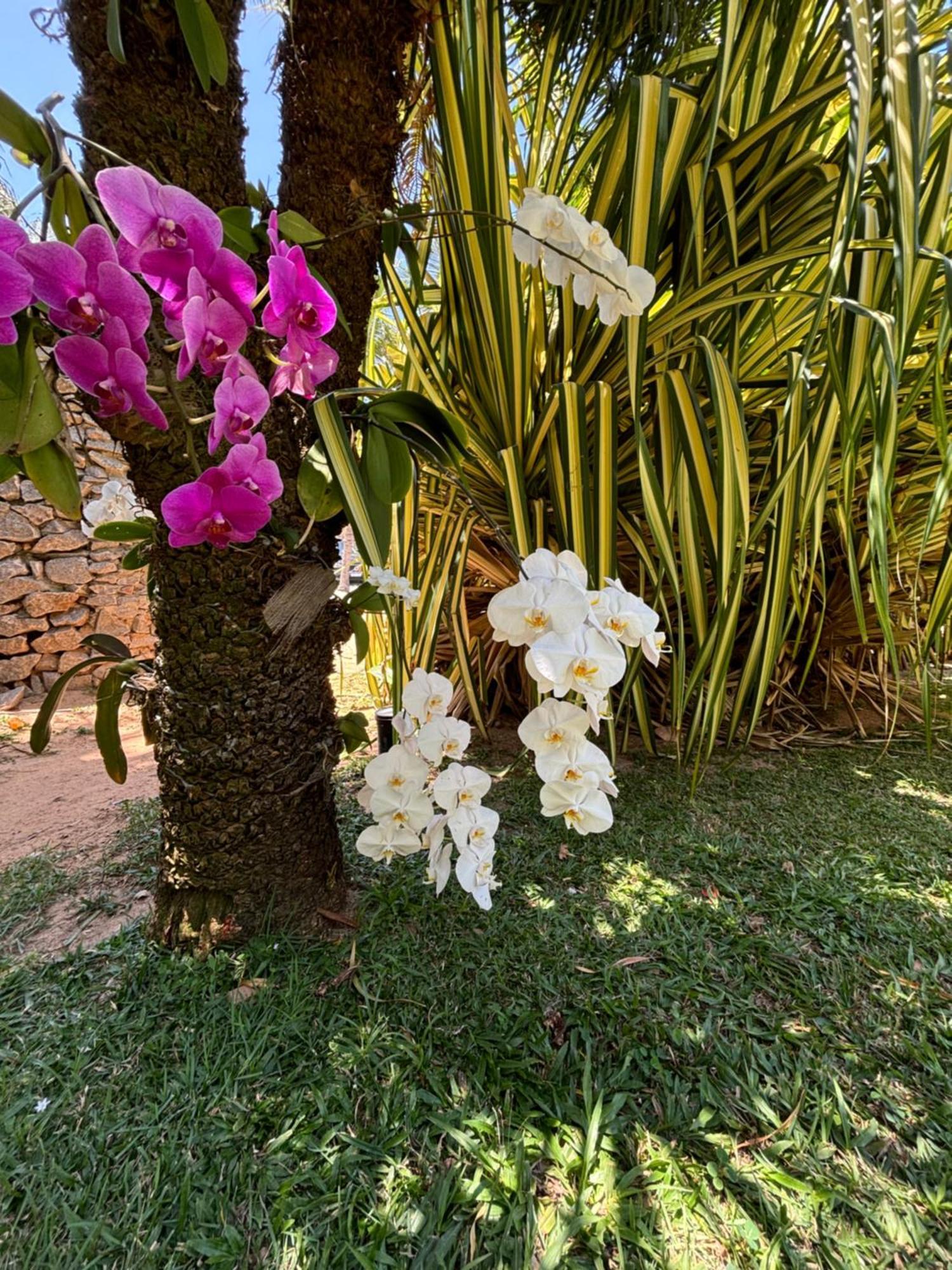 Hotel Da Pipa Praia de Pipa ภายนอก รูปภาพ