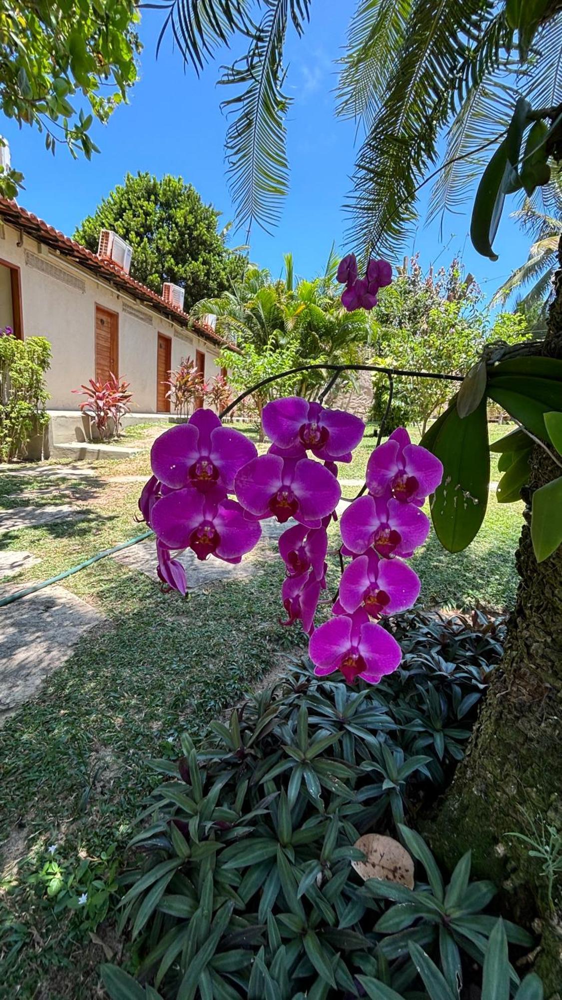 Hotel Da Pipa Praia de Pipa ภายนอก รูปภาพ